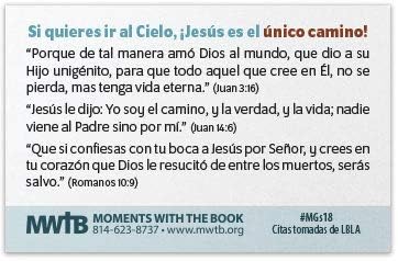 Miniatura 2 de Jesús es el único camino (Mini Gospel Tract Card - Paquete de 100 - Español)