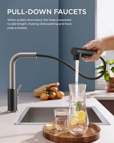 Image of FORIOUS Kitchen Faucets with Pull Out Sprayer, Single Handle, Black Brushed