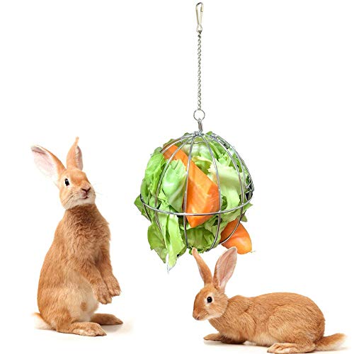 Hamkaw Hay Ball Round Hanging Sphere Feed Dispenser Stainless Steel Hay Feeder Food Manger Hanging Treat Toy For Chinchillas Guinea Pig Hamster Rat Rabbit Chicken Anti-bite With Hanging
