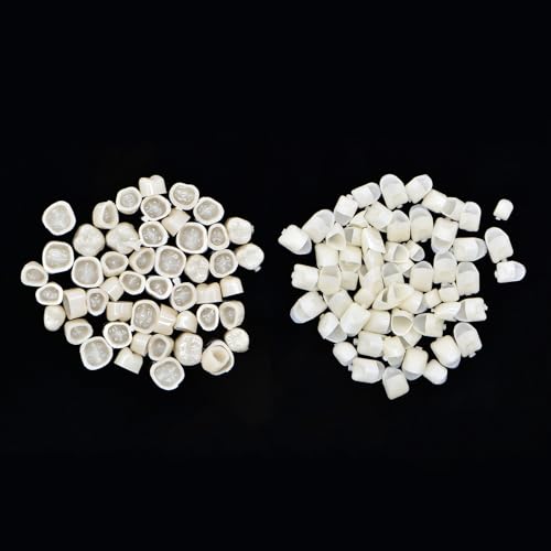 Angzhili FHLSG 2 Box Dental Temporary Crown Veneers Tooth Cap Crown Veneers,For Front Back Tooth,Dental Supplies thumb #2