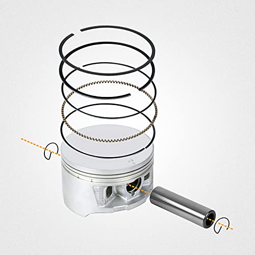 Wztepeng Engine Piston Ring Cylinder Gasket Top End Kit Compatible With Honda 1998-2004 Foreman 450 Trx450 S/Es/Fe/Fm 4X4 Replace Part# 12100-Hn0-A00 13111-Hn0-A00 #TOP4