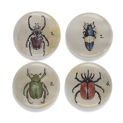 Buttonsmith Beetles Magnet Set - Set of 4 1.25