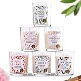 Magnificent 101 Long-Lasting Manifestation & Intention Aromatherapy Candles - Set of 6 | 21 Oz - 84-Hour Burn | 100% Soy Wax - Pure Sage, Gratitude, Abundance, Pure Love, Money, & Palo Santo