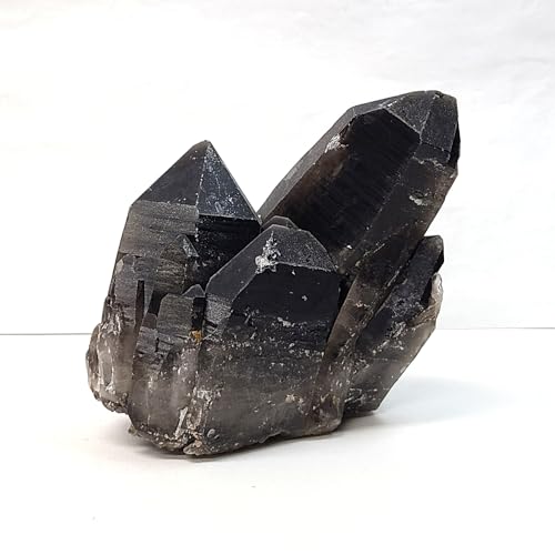 I   975g t ̔ NX^[ VR  { u  u  p[Xg[ ObY   