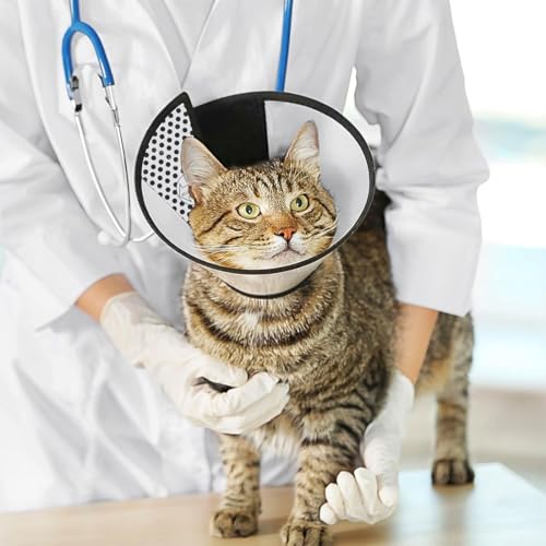 AFCJLTO Pet Cone Recovery,Halskrause Katze, Leichter Kunststoff Elisabethanischer Kragen,Geeignet für kleine bis mittelgroße Katzen mit einem Gewicht von 3 bis 5 kg (Halsumfang 22-26cm,L)