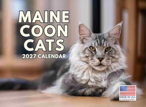 Maine Coon Cat Calendar 2027 Monthly Wall Calendar