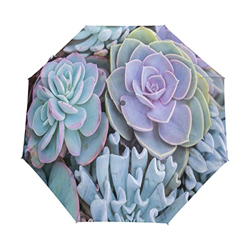 Parapluie pliant pour voyager et plage style jardin botanique