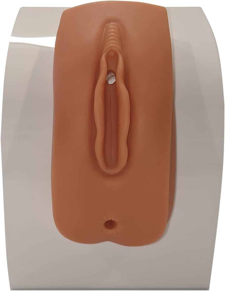 The Anatomy Lab Foley Catheterization Training Kit for Healthcare Professionals, Nurses, and Medical Students