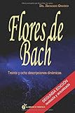 ricardo orozco libros pdf gratis  Flores De Bach (Terapias)