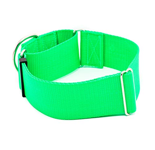2 Inch Martingale Dog Collars - Heavy Duty Nylon (2' Width Dog Collars (Neon Lime Green, Large)