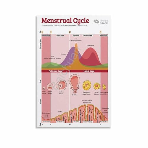 Affiche flow hormonal pour comprendre son corps et réduire le stress
