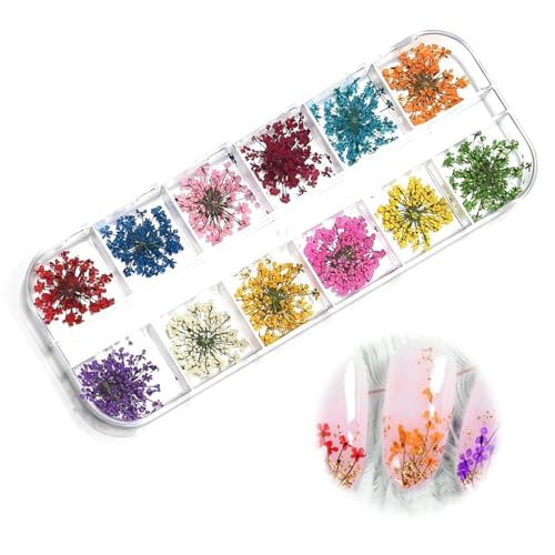 YUZNA 1 caja de flores secas para decoración de uñas, diseño de uñas y manualidades, decoraciones para uñas y accesorios, pegatinas para decoración uñas (10 colores)