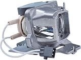 PHO BL-FU200D / SP.7D101GC01 Genuine Original Replacement Bulb/Lamp with Housing for Optoma X308 X308S W309ST W318ST W318STe X318ST Projector (OEM Philips Bulb)