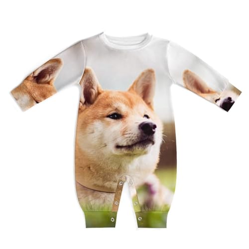 [NBKING] Č  G 킢 xr[ p[X  Jo[I[ V j̎q ̎q  킢 Ԃ oYj v[g 0-24