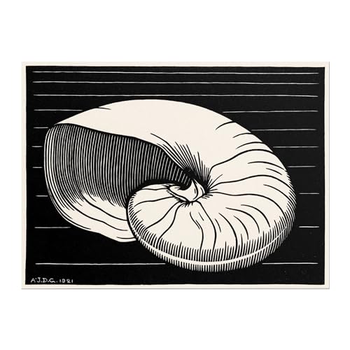 Impression d'art Giclée de coquillage Julie de Graag Pathos Studio A2