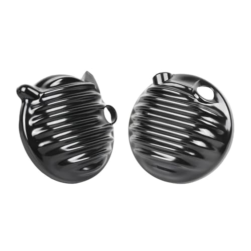 Accesorios protección Rebel CMX300 para resguardar el motor en viajes de larga distancia