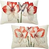 flor Fundas Cojines 70x90 cm Terciopelo Juego de 2,Lujosas Funda Cojin Beige Súper Suaves y Cómodas,Funda de Almohada con Cremallera Oculta,Durable y Fácil Cuidado para Sofá,Cama,Silla o Jardín Y-831