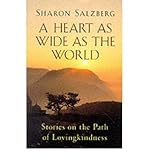 Heart as Wide as the World: Stories on the Path of Lovingkindness (Paperback) - Common