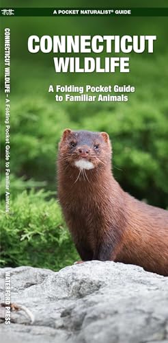 Connecticut Wildlife: A Folding Pocket Guide to Familiar Animals (Nature Observation North America) Connecticut Wildlife: A Folding Pocket Guide to Familiar Animals (Nature Observation North America)
