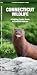 Connecticut Wildlife: A Folding Pocket Guide to Familiar Species (Pocket Naturalist Guide Series)