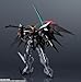 TAMASHII NATIONS Mobile Suit Gundam Wing Endless Waltz XXXG-01 D2 Gundam Deathscythe Hell (EW) Action Figure