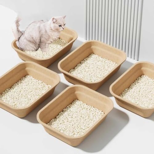 IYOIYA LpgC ĝ 5 42×32×10 L gC g[ L I[v^Cv s h  펞 ȈՃgC |[^u LgC qL Lp gCg[ h Rh~  y lRgC L gC{ 