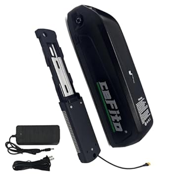 1000 watt ebike battery