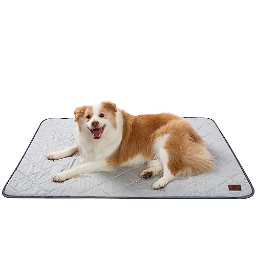 Snocyo Kühldecke für Hunde waschbar, Q-MAX0.4, wasserdichte Hundedecke 75×60cm, doppelseitige kühlende und plüschige Haustierdecke, kühlende Sofadecke für kleine Hunde