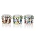 Lifetime 4 oz. Food Storage Container 3 pk