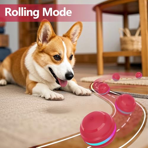 Diealles Shine Interaktives Hundespielzeug, Hundespielzeug Ball Mit 2 Modi, Spielzeug Für Hunde Gegen Langeweile, Hundeball Elektrisch USB Aufladbar, Selbstrollender Ball Für Kleine Hunde