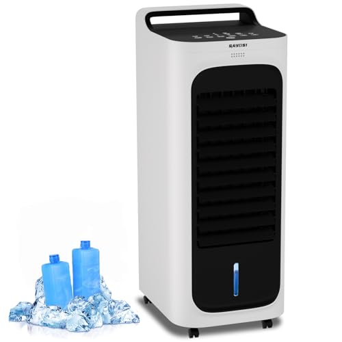 SAYDSI Electric 2-in-1 Cooling Tower Fan & Heater used in Summer and Winter for Bedroom Home Office Large Room with Ice Packs,Water Tank,Timer(White)