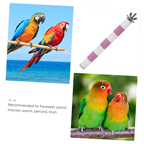 PartyKindom Papageiensitzstange 20cm aus Edelstahl Bissfester Kratzstock für Vogelkäfig Spielzeug für Wellensittiche Papageien und Ziervögel