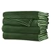 Sunbeam Velvet Plush Heated King Blanket with 20 Heat Settings, Dual Digital Controllers, Auto-off and 5 Yr Warranty - IVY Green