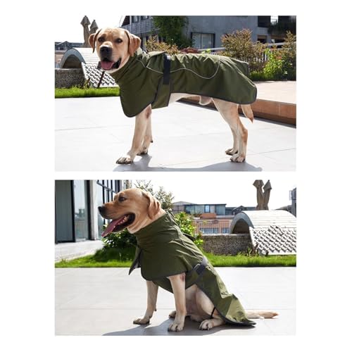 Abrigo de invierno para perro reflectante ideal para rutas de montaña 3