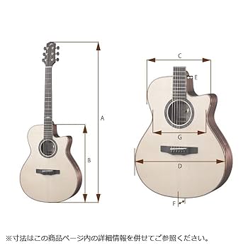 カバー付き、エレクティック、アコースティックギター、Gシリーズ、モーリス G-021 / G-021E | PERFORMERS EDITION | MORRIS GUITARS
