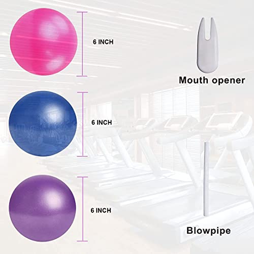 Dongshop Small Exercise Ball Mini Yoga Ball Pilates Ball 6 Inch With Inflator 6 Inch Exercise Ball For Women Workout Fitness Stability Physical Therapy Fitness (Blue) #TOP3