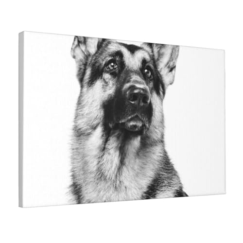 Tableau sur toile berger allemand OrcoW WTD de 30 x 45 cm pour décoration murale