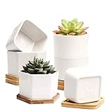 Small Succulent Pots,Ceramic Planter Pots,Mini Flower Pots with Drainage Hole,White Garden Pots with Bamboo Tray,Set of 6
