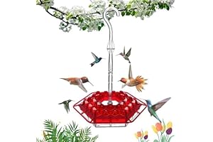 Mary's Hummingbird Feeders: Unwavering Delight for Hummingbirds!