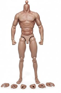 1/6 Scale Articulated Action Figures High Realism Muscle Poseable Action Figure Body with 30+ Movable Joints Compatible with /6 Clothes Accessories