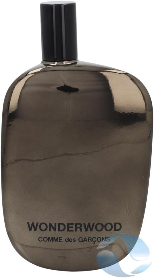 comme des garcons wonderwood