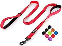 Algopix Similar Product 19 - Primal Pet Gear Dog Leash 6ft Long