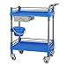 Produktbild Portable cart - GR/Edelstahl 2-Tier Medical Cart mit Einer Schublade Portable Dentallabor Instrument Trolley Tischgeräte mit Rädern (Size : 64.5×44.5×90cm)