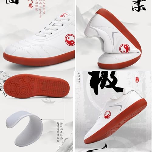 Men Martial Arts Shoes Taekwondo Shoes,Chinese Wu Shu Karate Kung Fu Tai Chi Boxing Sneakers for Training Morning Exercises Shoes(Size:40EU,Color:C)3