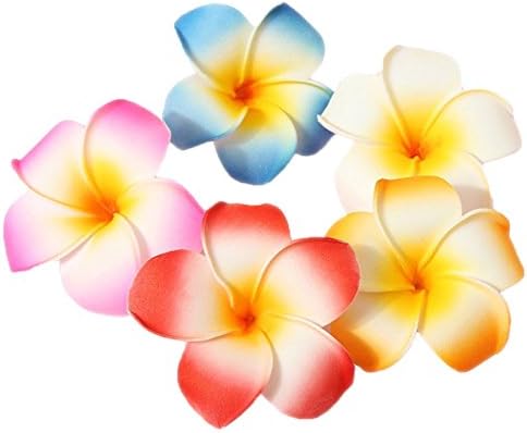 GSHLLO 10 Pcs 7cm Multicolor Hawaiian Hair Clip Beach Foam Flower Headpieces for Wedding Party Accessories