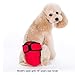 Alfie Pet - Max Diaper Dog Sanitary Pantie - Color: Red, Size: L (for Girl Dogs)