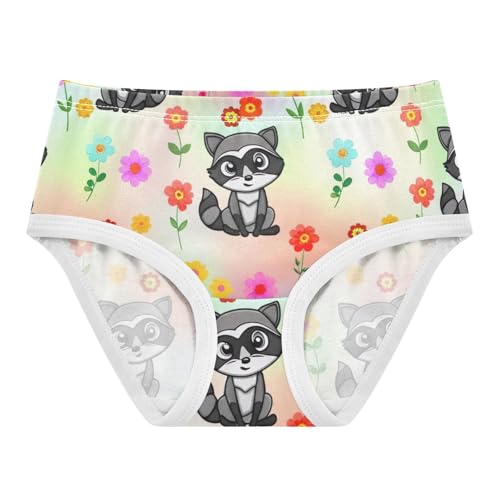 Cotton Girls Underwear Toddlers Cute Cartoon Raccoons Sitting Panties Little Girl Florals Underpants Briefs 2t