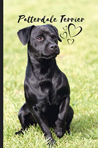 Patterdale Terrier Dog Notebook For Dog Lovers: Composition Notebook 6x9" Blank Lined Journal