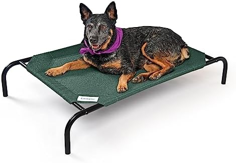 Coolaroo The Original Cooling Elevated Pet Bed, Medium, Brunswick Green