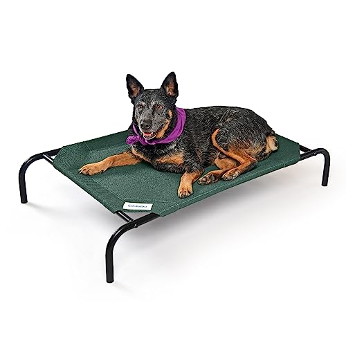 Coolaroo The Original Cooling Elevated Pet Bed, Medium, Brunswick Green #TOP30
